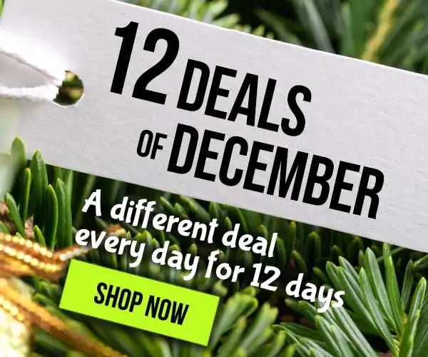 imgi 62 Homepage Top Banner Mobile DOD25